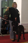 bygodszcz  2008 mastif neapolitański