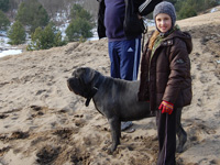 mastino napoletano