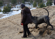 mastino napoletano