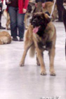 KIELCE 2008
