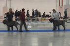 KIELCE 2008