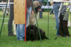 Radom 2008
