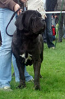 Radom 2008
