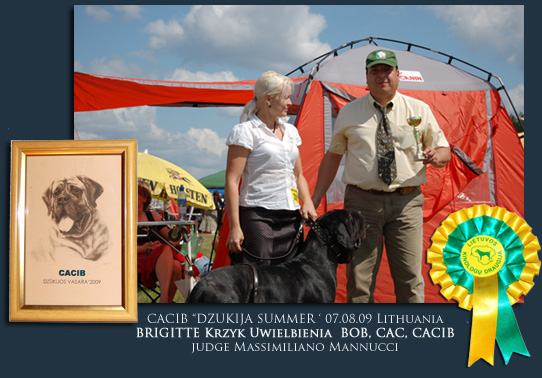 Neapolitan Mastiff Lithuania CACIB , BOB, Brigitte Krzyk Uwielbienia