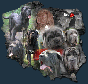 mastino -mapa